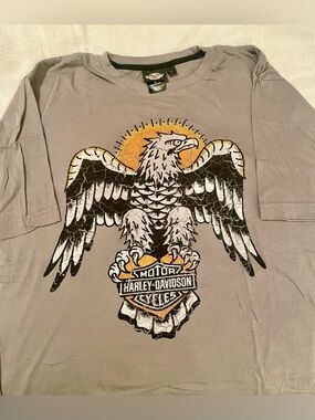 Harley-Davidson Gray Tee with Eagle and Orange Accent